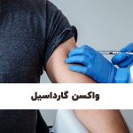 واکسن گارداسیل شیراز